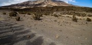 Africké dobrodružstvo - Lemosho Route s výstupom na Kilimanjaro
