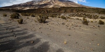 Africké dobrodružstvo - Lemosho Route s výstupom na Kilimanjaro