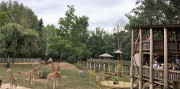 Zájazd do ZOO v Nyiregyháza