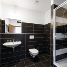 Alex Hotel