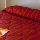 Premier Classe Chilly Hotel  & Premier Classe Blois
