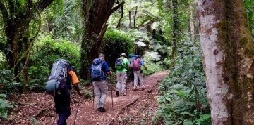 Africké dobrodružstvo - Lemosho Route s výstupom na Kilimanjaro