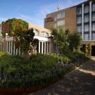 Carlton Oasis 4****