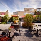 Carlton Oasis 4****