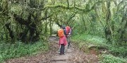 Africké dobrodružstvo - Lemosho Route s výstupom na Kilimanjaro
