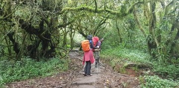 Africké dobrodružstvo - Lemosho Route s výstupom na Kilimanjaro