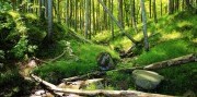 Ostrov Rujana – Kriedové útesy a Baltické more