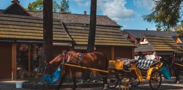 1-dňový zájazd do mestečka Zakopane