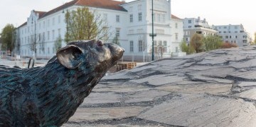 Zájazd do Rakúska: Melk, Krems a Tulln