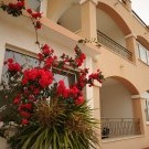 Villa Jelavić