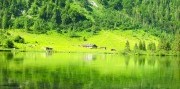 Rakúske a bavorské Alpy - Salzburg, Hallstatt a Königssee