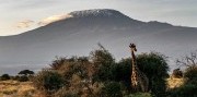 Africké dobrodružstvo - Lemosho Route s výstupom na Kilimanjaro