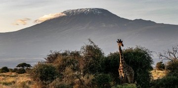 Africké dobrodružstvo - Lemosho Route s výstupom na Kilimanjaro