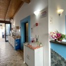 Aura Hotel