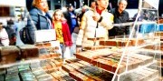 Čokoládový festival vo Viedni s prehliadkou mesta 