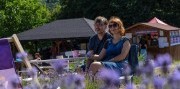 Levanduľový festival na Morave a mesto fontán Olomouc