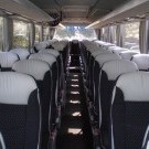 Setra modrá / strieborná