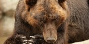 Zájazd do Brna s návštevou ZOO