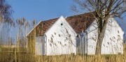 Husacie hody a skanzen v Burgenlande