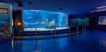 Zájazd do Budapešti s návštevou Tropicaria Oceanaria