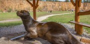 1-dňový zájazd na Poľské Maledivy a do magického Nikiszowieca