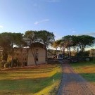 Primavera Hotel 