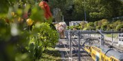 Zábavný park Madurodam, Haag a pláž