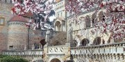 Kráľovský Székesfehérvár a Bory Vár