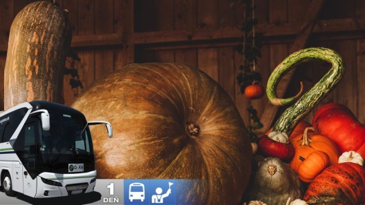 Tekvicové slávnosti s ochutnávkou vína