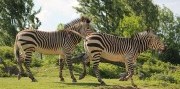 Deň na zámku Herberstein s návštevou ZOO
